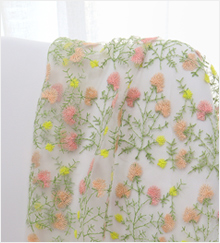 ��ǰ ������