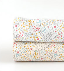 ��ǰ�̹���