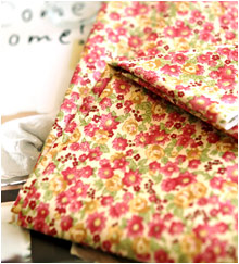 ��ǰ�̹���