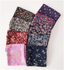 ��ǰ�̹���